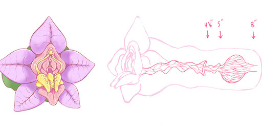 female genitals not_furry penetrable_sex_toy pink_vulva plant sex_toy simple_background vulva white_background zero_pictured enerugi elemental_creature flora_fauna hi_res