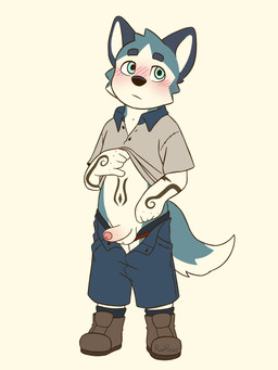 belly belly_markings blue_body blue_clothing blue_eyes blue_fur blush blush_lines body_blush boots bottomwear cheek_tuft clothed clothing countershade_arms countershade_ears countershade_face countershade_legs countershade_tail countershade_torso countershading erection facial_tuft footwear foreskin fur genitals grey_clothing male markings open_bottomwear open_clothing open_pants pants penis penis_blush school_uniform shoes solo tail tuft uniform white_body white_fur young young_male minishadefox canid canine canis domestic_dog husky mammal nordic_sled_dog siberian_husky spitz 3:4 hi_res