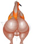 anthro balls beak big_butt bodily_fluids bottomless bubble_butt butt clothed clothing feathers genitals glistening grey_body grey_feathers huge_butt hyper hyper_butt looking_away male nude orange_body orange_feathers presenting presenting_hindquarters rear_view simple_background solo standing sweat sweatdrop sweaty_balls sweaty_butt sweaty_genitalia sweaty_legs sweaty_thighs tail tail_feathers thick_thighs white_background wide_hips wolfii865 avian bird oscine passerine robin_(bird) hi_res