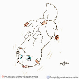 3_toes animal_genitalia animal_vulva anus black_nose blue_eyes canine_genitalia canine_vulva feet female feral fur genitals legs_in_air lying on_back open_mouth open_smile pawpads paws pink_pawpads pink_vulva smile smiling_at_viewer solo spread_legs spreading text toes vulva white_body white_fur yordraw illumination_entertainment the_secret_life_of_pets gidget_(the_secret_life_of_pets) canid canine mammal 1:1 hi_res url