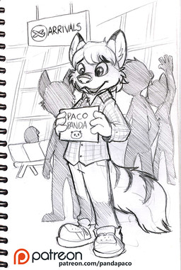 anthro cheek_tuft clothed clothing dipstick_ears ear_markings facial_tuft footwear glistening glistening_eyes group hair holding_object holding_sign inside male male_anthro markings multicolored_ears open_mouth open_smile patreon_logo shoes short_hair sign smile solo_focus standing striped_markings striped_tail stripes tail tail_markings text tuft pandapaco patreon canid canine mammal spot_color url