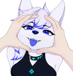 anthro blue_eyes blue_hair blue_nose blue_tongue bodysuit clothed clothing collar female fur hair looking_at_viewer simple_background skinsuit smile solo swimwear teeth tight_clothing tongue white_body white_ears white_fur white_hair xxjamiepawxx amber_puppy canid canine canis human mammal wolf absurd_res digital_media_(artwork) hi_res herm_(lore)