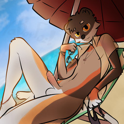 anklet anthro beach beach_chair beach_umbrella bent_leg bikini bikini_bottom bikini_bottom_removed bikini_removed bottomless bracelet clothed clothing ear_piercing erection eyewear genitals holding_bikini_bottom holding_object humanoid_genitalia humanoid_penis jewelry looking_at_viewer male mostly_nude necklace open_clothing open_shirt open_topwear parasol penis piercing raised_leg seaside shell_necklace shirt solo sunglasses swimwear topwear translucent translucent_clothing translucent_topwear two-piece_swimsuit umbrella yaboyfoz! foster_the_stoat_(yaboyfoz!) mammal mustelid musteline stoat true_musteline weasel 1:1 hi_res