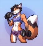 abs anthro biceps big_muscles black_hair black_nose bottomwear bra breasts clothed clothing dumbbell exercise eyebrows eyelashes female fur hair midriff muscular muscular_anthro muscular_female print_sports_bra shorts simple_background small_breasts solo sports_bra standing underwear weightlifting weights workout spefides nike rosaline_(bronx23) canid canine fox mammal red_fox true_fox 2018 digital_media_(artwork) portrait shaded three-quarter_portrait