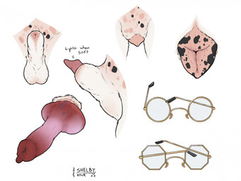 ambiguous_form anatomically_correct anatomically_correct_genitalia anatomically_correct_penis anatomically_correct_vulva animal_genitalia animal_penis animal_vulva balls canine_genitalia canine_penis canine_vulva close-up disembodied_penis disembodied_vulva erection eyewear female fully_sheathed fur genital_close-up genitals glasses knot knotted_penis male penis penis_close-up penis_tip pussy_close-up sheath simple_background urethra vein veiny_penis vulva white_background white_balls white_body white_fur sketchy_shelby canid canine mammal 2025 dated hi_res sketch_page