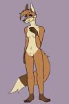 2:3 anthro breasts canid canine female fox genitals mammal metriccaboose nipples nude pussy sasha_(metriccaboose) slim solo standing