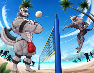 abs aggressive anthro beach beach_volleyball biceps big_bulge big_muscles bulge claws clothed clothing crossed_arms detailed_bulge duo_focus fluffy fluffy_tail group huge_muscles jockstrap jockstrap_only jumping male muscular muscular_male net nipples palm_tree pecs plant quads seaside summer tail thick_calves topless tree triceps underwear underwear_only mrmapolomi zeusthedog canid canine canis felid hybrid lion mammal pantherine wolfdog 2025 hi_res