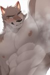 2022 abs anthro armpit_hair black_nose blue_eyes blush bodily_fluids body_hair canid canine eyebrows fur hachi_duchi hi_res male mammal multicolored_body multicolored_fur nipples pecs raised_arm simple_background solo sweat white_background