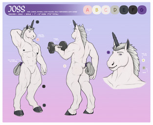 5_fingers abs anthro areola biped border butt dock_(anatomy) dumbbell exercise featureless_crotch fingers hooves horn male male_anthro muscular muscular_anthro muscular_male nipples nude_male pecs solo standing tail tail_wraps text unguligrade unicorn_horn weightlifting weights white_border workout wraps homogenousrule mythology joss_halifax equid equine mammal mythological_creature mythological_equine unicorn english_text hi_res model_sheet