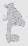 blue_body blue_fur cyan_paws feet foot_focus fur grey_body grey_fur happy hindpaw male pawpads paws solo toes animancer mousepaw mammal mouse murid murine rodent hi_res sketch