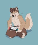 absurd_res anthro biped canid canine canis domestic_dog gaming hi_res hindpaw husky male male_anthro mammal naoto nintendo nintendo_console nintendo_switch nordic_sled_dog paws playing playing_video_game solo spitz tongue tongue_out