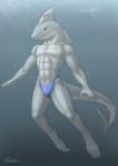 abs anthro athletic barefoot biceps biped bulge claws clothed clothing feet fin green_eyes grey_body grey_skin looking_at_viewer male muscular muscular_anthro pecs solo speedo swimming swimwear tail toe_claws topless underwater water dreiker dreiker_(character) fish marine shark 2014 digital_media_(artwork)