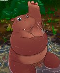 anthro balls bathing belly big_belly brown_body buried_penis flaccid foreskin fupa genitals male micropenis moobs navel nude overweight overweight_male penis small_penis solo tight_foreskin water wet young chiko_mew common_hippopotamus hippopotamid mammal hi_res