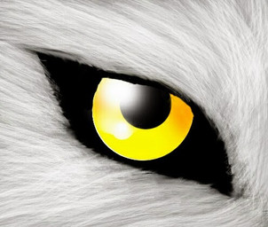 ambiguous_gender black_sclera close-up eye_shot feral fur solo white_body white_fur yellow_eyes unknown_artist ambiguous_species digital_media_(artwork) low_res source_request
