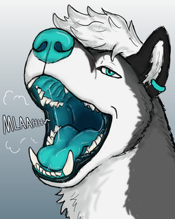 blue_eyes blue_mouth blue_nose blue_tongue bodily_fluids breath drooling ear_piercing ear_ring feral male mouth_shot open_mouth piercing ring_piercing saliva solo teeth text throat tongue hgythshs clover_(cloverfusky) canid canine canis domestic_dog fox husky hybrid mammal nordic_sled_dog spitz 4:5 absurd_res hi_res