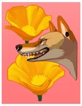 ambiguous_gender border buttercup_(flower) ear_piercing facial_piercing feral flower green_eyes nose_piercing nose_ring piercing pink_background plant ring_piercing sharp_teeth simple_background smile solo teeth white_border yellow_flower oystr canid mammal digital_media_(artwork) digital_painting_(artwork) headshot_portrait hi_res painting_(artwork) portrait