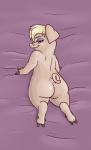 anthro blonde_hair butt dakimakura eyeshadow female hair looking_at_viewer looking_back makeup purple_eyeshadow smile solo alorix disney zootopia dmv_pig_(zootopia) mayor_swinton domestic_pig mammal suid suina sus_(pig) dakimakura_design