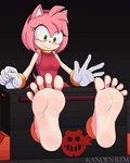 5_toes barefoot feet female foot_fetish foot_focus fur humanoid_feet pink_body pink_fur plantigrade restraints soles stocks toes kandenrem sega sonic_the_hedgehog_(series) amy_rose eulipotyphlan hedgehog mammal animated short_playtime