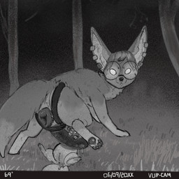ambiguous_gender animal_genitalia animal_vulva canine_genitalia canine_vulva duo eyewear female female/female feral genitals glasses looking_at_viewer lyme night paws piercing strapon trail_cam vulva foxvomitarts rabidfoxarts citrus canid canine domestic_ferret fox mammal mustelid musteline true_musteline weasel 1:1 hi_res sketch