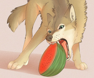 brown_body brown_fur cheek_tuft claws digitigrade eating facial_tuft fangs feral food fruit fur inner_ear_fluff light male markings melon nom open_mouth plant shadow simple_background solo teeth toe_claws tongue tuft watermelon whisker_markings yshanii canid canine canis mammal wolf 2020 digital_media_(artwork) lighting meme shaded