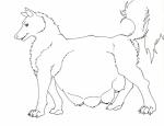 belly big_belly breasts claws female feral hanging_breasts multi_breast nipples nude paws pregnant side_view simple_background solo standing tail teats white_background beuwens-folder canid canine canis mammal wolf black_and_white monochrome