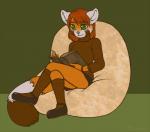 anthro bean_bag biped book bottomwear clothed clothing female footwear fur furniture green_eyes hair legwear markings mary_janes on_bean_bag orange_body orange_fur reading red_hair shoes sitting skirt socks solo sweater topwear catflower ailurid mammal red_panda 2013