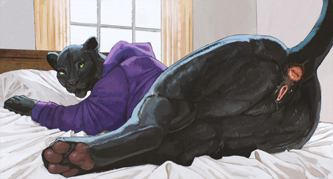 anatomically_correct anatomically_correct_anus anatomically_correct_genitalia anatomically_correct_vulva animal_genitalia animal_vulva anus bed black_body black_fur bottomless butt clothed clothed_feral clothing feline_genitalia feline_vulva female female_feral feral fur furniture genitals green_eyes hoodie hoodie_only looking_at_viewer looking_back lying lying_on_bed melanistic on_bed on_front partially_clothed pawpads pink_anus presenting presenting_anus presenting_hindquarters raised_tail rear_view solo tail tail_anus topwear topwear_only vulva cosmiclife felid jaguar mammal pantherine hi_res