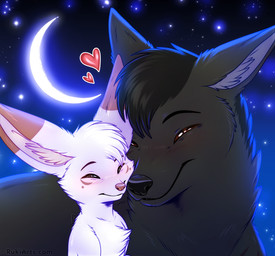 ambiguous_gender blush crescent_moon duo feral front_view fur hair moon night outside sky smile star rukifox jarit_(rukifox) louis_(rukifox) canid canine fox mammal 2026 digital_drawing_(artwork) digital_media_(artwork) male_(lore)