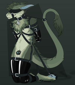 anthro bdsm belt_bondage blindfold bodily_fluids bondage bound chastity_cage chastity_device collar fur green_body green_fur latex male nervous nervous_sweat pawpads restrained_arms restrained_legs restraints solo sweat canideo merca_(mercial) vernid hi_res