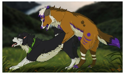 ambiguous_gender ambiguous_penetrated ambiguous_penetration border cheek_tuft claws duo erection eyes_closed facial_tuft fangs feral feral_on_feral feral_penetrated feral_penetrating feral_penetrating_feral floppy_ears from_behind_position fur genitals grass green_kerchief green_neckerchief hair kerchief looking_at_another looking_pleasured male male/ambiguous male_penetrating markings mating_grip mounting multicolored_body multicolored_fur neckerchief neckwear open_mouth outside penetration penis plant purple_eyes purple_penis raised_tail sex short_hair side_view spots spotted_markings tail teeth tongue tongue_out tuft white_border midzushiro canid canine canis domestic_dog mammal wolf colored digital_drawing_(artwork) digital_media_(artwork) hi_res shaded