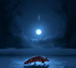 ambiguous_gender blue_sky cloud detailed_background digitigrade feral full_moon fur light moon moonlight night orange_body orange_fur outside quadruped red_body red_ears red_face red_fur red_tail shadow side_view sky snout snow solo tail walking civetstranj canid canine fox mammal 2019 signature