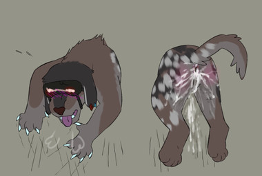 after_anal after_sex anus bodily_fluids breath claw_marks cum duo ear_piercing ear_ring eyewear featureless_crotch feral fur genital_fluids male panting piercing puffy_anus questionable_consent raised_tail ring_piercing simple_background tail through_wall tongue tongue_out puppyratcat canid canine felid feline hybrid mammal xog