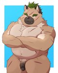 anthro balls belly brown_body brown_fur crossed_arms eyebrows flaccid fur genitals green_hair hair male musclegut muscular nude pecs penis scar solo standing thick_eyebrows vein veiny_penis nattotiger lifewonders tokyo_afterschool_summoners yasuyori_(tas) canid canine canis domestic_dog mammal hi_res