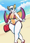 anthro beach big_breasts bikini breasts camel_toe clothing duffel_bag female nipple_outline seaside sky solo swimwear two-piece_swimsuit two_piece wide_hipped_female wide_hips iideek sega sonic_the_hedgehog_(series) rouge_the_bat bat mammal 2020 absurd_res hi_res