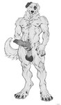 anthro arm_on_leg balls belly big_feet big_knot black_claws black_markings chain claws curl_tail dew_claws digitigrade feet genitals hairless_balls holding_knot_root knot male markings muscular neck_tuft nipples penile pink_paws saggy_balls simple_background smile smiling_at_viewer solo spots spotted_belly tuft white_background white_body shepherdart jenklin_(character) canid canine canis domestic_dog kangal livestock_guardian_dog mammal molosser mountain_dog pastoral_dog absurd_res digital_media_(artwork) hi_res monochrome