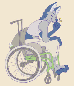 anthro barefoot blue_body blue_eyes blue_fur bottle closed_smile clothed clothing container eyes_closed fangs feet fur gloves_(marking) grey_body grey_fur male male_anthro markings mouth_closed side_view simple_background sitting smile solo teeth vehicle wheelchair hardscales canid canine mammal hi_res