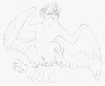 2015 animal_genitalia anus avian avian_feet beak bird butt claws feathered_wings feathers feet female feral generation_1_pokemon genitals graphite_(artwork) looking_at_viewer monochrome nintendo nude pencil_(artwork) pidgeotto pokemon pokemon_(species) pussy simple_background sketch solo talons toes traditional_media_(artwork) wings yaroul