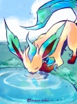 ambiguous_gender eyes_closed feral leaf leaf_tail licking solo tail tongue tongue_out water super-tuler nintendo pokemon eeveelution generation_4_pokemon leafeon pokemon_(species)