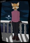 2024 absurd_res anthro balthy_(suitedwolfie) barefoot biped canid canine cheek_tuft clothed clothing cloud digital_drawing_(artwork) digital_media_(artwork) dipstick_ears ear_markings facial_tuft feet fox front_view fully_clothed fur head_tuft hi_res looking_at_viewer mammal multicolored_ears night orange_body orange_fur outside smile solo standing suitedwolfie tuft