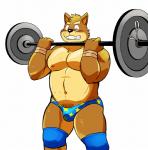 anthro big_muscles biped blush briefs bulge canid canine canis clothing domestic_dog exercise holding_barbell holding_object kenta_shiba_(character) male mammal muscular muscular_anthro muscular_male navel nipples open_mouth pubes shiba-kenta shiba_inu simple_background solo spitz teeth underwear weightlifting white_background workout