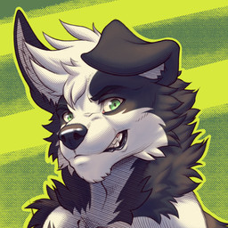 anthro black_body black_fur black_nose fur green_eyes hair lips male mischievous_smile solo white_body white_fur white_hair wild_dog_feral lordo border_collie canid canine canis collie domestic_dog herding_dog mammal pastoral_dog sheepdog 1:1 hi_res icon