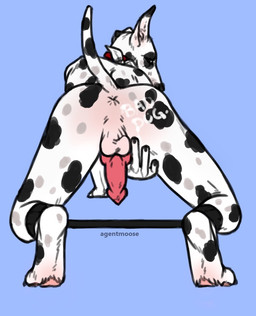 agentmoose_(artist) animal_genitalia anthro anus butt canine canine_penis collar cum dog knot looking_at_viewer male mammal penis presenting raised_tail sebastian solo spread_legs spreader_bar spreading
Rating: Explicit
Score: 7
User: tritonwolf
Date: January 22, 2015 agentmoose_(artist) animal_genitalia anthro anus butt canine canine_penis collar cum dog knot looking_at_viewer male mammal penis presenting raised_tail sebastian solo spread_legs spreader_bar spreading
Rating: Explicit
Score: 7
User: tritonwolf
Date: January 22, 2015