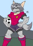 anthro ball bottomwear brown_nose clothing dipstick_tail fangs footwear fur grass green_eyes grey_body grey_fur grey_hair hair half-closed_eyes hands_on_hips highlights_(coloring) jersey male markings multicolored_hair narrowed_eyes plant pointy_ears prick_ears public shirt shorts sky smile smirk soccer soccer_ball soccer_field soccer_jersey soccer_uniform socks solo sport sports_uniform sportswear stadium stripes tail tail_markings tan_inner_ear teeth teeth_showing topwear two_tone_hair two_tone_tail uniform white_highlights zhengfox forza!_hidemaru kaiser_(forza!_hidemaru) canid canine canis mammal wolf 2021 hi_res signature