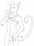 anthro balls bottomless clothed clothing flaccid genitals looking_at_viewer male penis shirt simple_background solo tail topwear whiskers white_background vagabond_(artist) shephard mammal murid murine rat rodent hi_res monochrome