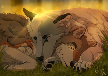 black_nose duo feral fur grass male paws plant sleeping smile sun denali-kitten chaine_redfield kemonowolf canid canine mammal 2016