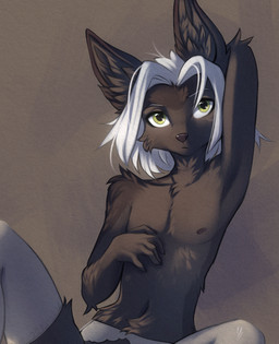 anthro biped claws clothed clothed_anthro clothed_male clothing countershade_torso countershading fingers front_view fur hair looking_at_viewer male navel nipples partially_clothed partially_clothed_anthro partially_clothed_male simple_background solo topless topless_anthro topless_male yshanii rebrove canid canine fennec_fox fox mammal true_fox 2026 digital_drawing_(artwork) digital_media_(artwork) hi_res