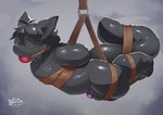 3_toes anthro arms_tied ball_gag balls_outline bound bulge detailed_bulge feet gag gagged genital_outline hair hands_behind_back legs_tied lock_symbol male rope side_view solo suspension tail tail_tied toes merunmohu mammal 2025 absurd_res hi_res