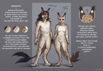 anthro breasts duo ears_up featureless_breasts featureless_crotch female hair larger_male male navel nude simple_background size_difference smaller_female species_sheet spots tail text lostgoose felid feline kruskont_(species) mammal 2024 english_text hi_res model_sheet