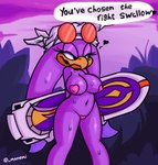anthro beak big_breasts blue_eyes bodily_fluids breasts clothing dialogue extreme_gear eyelashes eyewear eyewear_on_head feathers female front_view gloves handwear headgear headwear heart_pasties holding_object maebari mostly_nude navel pasties purple_body purple_feathers solo speech_bubble sunglasses sunglasses_on_head sweat sweatdrop text thick_thighs white_clothing white_gloves white_handwear white_headwear wide_hips monemi sega sonic_riders sonic_the_hedgehog_(series) wave_the_swallow avian bird hirundinid oscine passerine swallow_(bird) hi_res