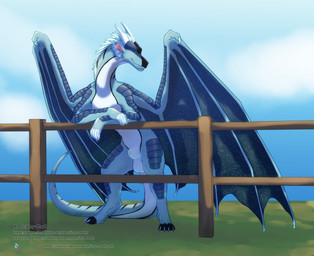 animal_genitalia balls fence feral fully_sheathed genitals male membrane_(anatomy) membranous_wings pose presenting_sheath sheath solo tail white_balls white_sheath wings icy-marth mythology wings_of_fire fatebringer_(zyon) dragon icewing_(wof) mythological_creature mythological_scalie nightwing_(wof) rainwing_(wof) scalie pinup